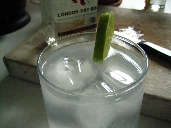 Gin and Tonic